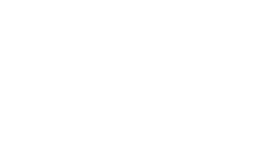 Eagle Engineering and Consulting logo